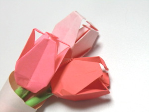 f:id:colorbless:20150317151557j:image