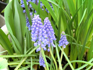 f:id:colorbless:20150318204135j:image