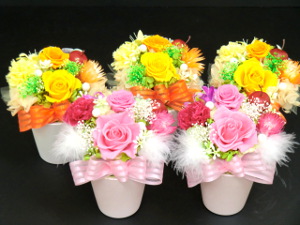 f:id:colorbless:20150318232254j:image