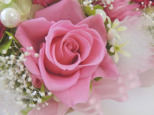 f:id:colorbless:20150320200735j:image