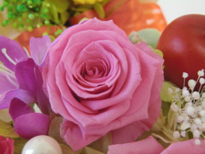 f:id:colorbless:20150320200752j:image