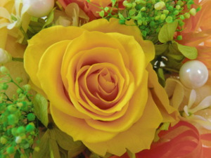 f:id:colorbless:20150320200803j:image