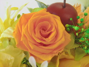 f:id:colorbless:20150320200818j:image