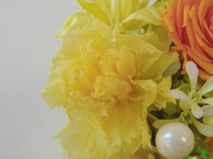 f:id:colorbless:20150320200828j:image