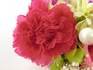 f:id:colorbless:20150320200838j:image