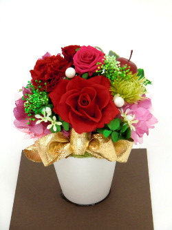 f:id:colorbless:20150320201520j:image