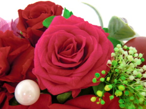 f:id:colorbless:20150320201614j:image