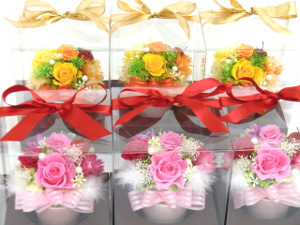 f:id:colorbless:20150320212137j:image
