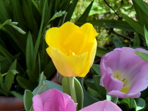 f:id:colorbless:20150323142650j:image