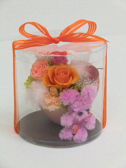 f:id:colorbless:20150328214808j:image
