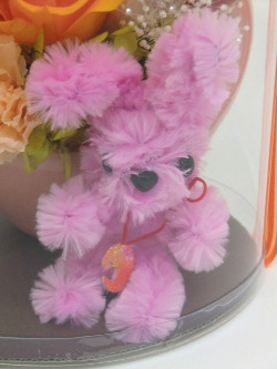 f:id:colorbless:20150328214900j:image