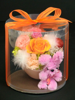 f:id:colorbless:20150328215505j:image