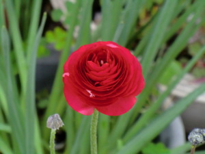 f:id:colorbless:20150408184429j:image f:id:colorbless:20150408184429j:image