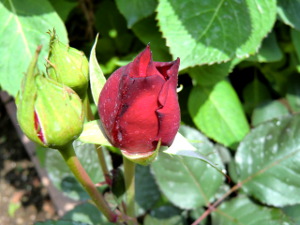 f:id:colorbless:20150414153655j:image f:id:colorbless:20150414153655j:image