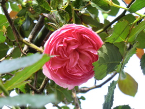 f:id:colorbless:20150420183329j:image f:id:colorbless:20150420183329j:image