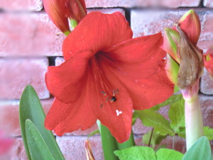 f:id:colorbless:20150430180513j:image