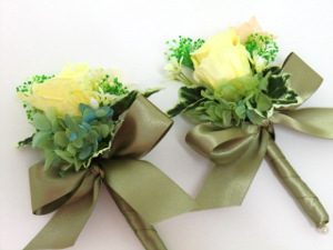 f:id:colorbless:20150505192606j:image