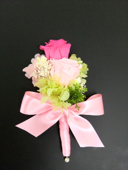f:id:colorbless:20150505192910j:image