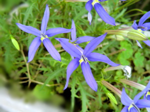 f:id:colorbless:20150506190846j:image f:id:colorbless:20150506190846j:image