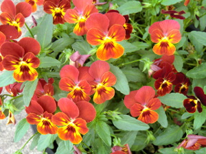 f:id:colorbless:20150506190924j:image f:id:colorbless:20150506190924j:image