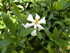 f:id:colorbless:20150518162104j:image