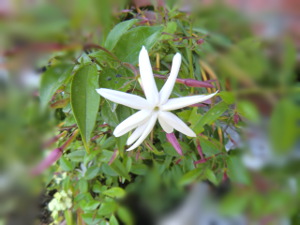 f:id:colorbless:20150518162127j:image