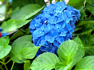 20150605145034