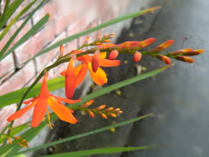 f:id:colorbless:20150622223426j:image f:id:colorbless:20150622223426j:image