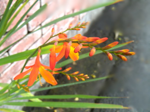 f:id:colorbless:20150622223439j:image f:id:colorbless:20150622223439j:image
