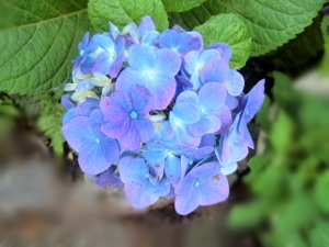 20150703000858