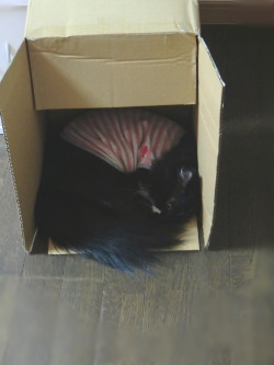 20150704095935