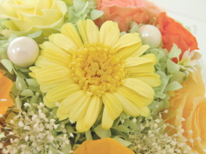 f:id:colorbless:20150716233051j:image