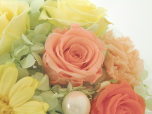 f:id:colorbless:20150716233124j:image