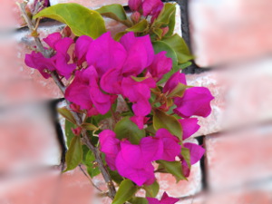 f:id:colorbless:20150802035951j:image