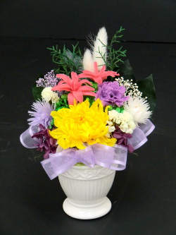 f:id:colorbless:20150802054324j:image f:id:colorbless:20150802054324j:image