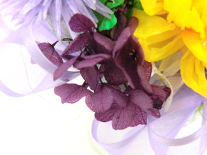 f:id:colorbless:20150802055043j:image f:id:colorbless:20150802055043j:image