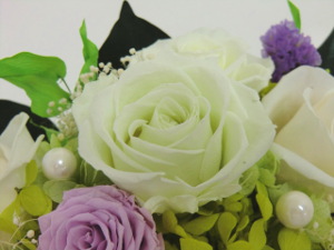 f:id:colorbless:20150809045813j:image f:id:colorbless:20150809045813j:image