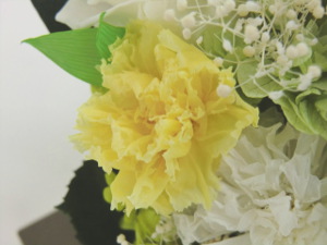 f:id:colorbless:20150809045835j:image f:id:colorbless:20150809045835j:image