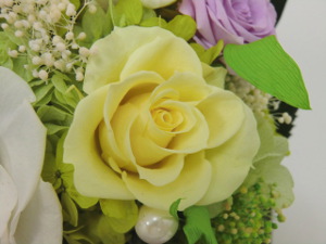 f:id:colorbless:20150809045841j:image f:id:colorbless:20150809045841j:image