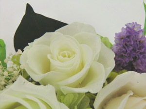 f:id:colorbless:20150809045857j:image f:id:colorbless:20150809045857j:image