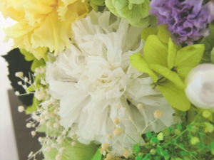 f:id:colorbless:20150809045958j:image f:id:colorbless:20150809045958j:image