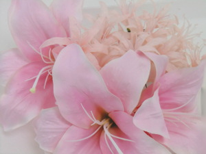 f:id:colorbless:20150915225706j:image