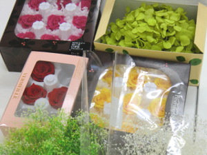 f:id:colorbless:20151013062121j:image