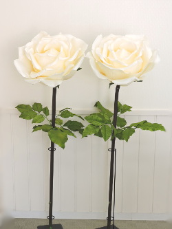 f:id:colorbless:20151020124629j:image