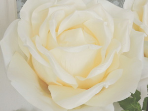 f:id:colorbless:20151020125721j:image