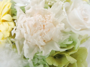 f:id:colorbless:20151021235608j:image