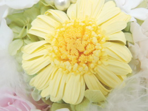 f:id:colorbless:20151021235627j:image