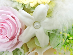 f:id:colorbless:20151021235651j:image
