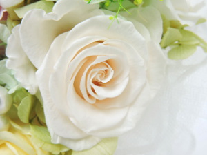 f:id:colorbless:20151021235733j:image