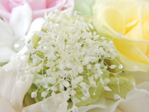 f:id:colorbless:20151021235813j:image